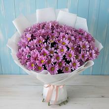 Букет цветов из:  Хризантемы в Ладожской