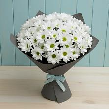 Букет цветов из:  Хризантемы в Ладожской