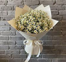 Букет цветов из:  Ромашки в Ладожской
