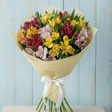Букет цветов из:  Альстромерии в Ладожской