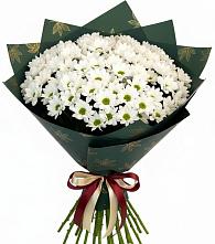 Букет цветов из:  Хризантемы в Ладожской